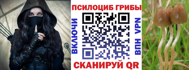 Псилоцибиновые грибы мицелий  Райчихинск 